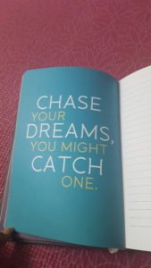 Chase your dreams, you might catch one